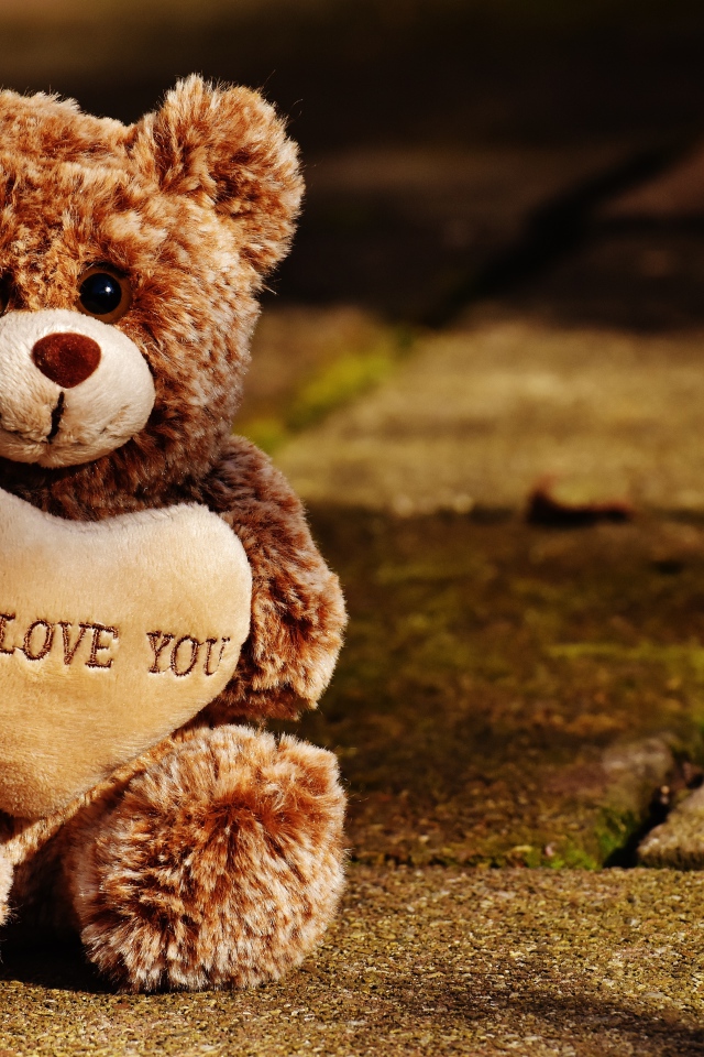 Игрушечный медведь с сердцем сидит на дороге 