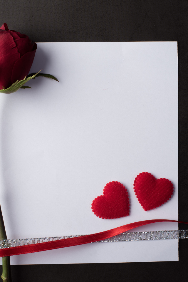 Белый лист бумаги, роза и ленточки на сером фоне
