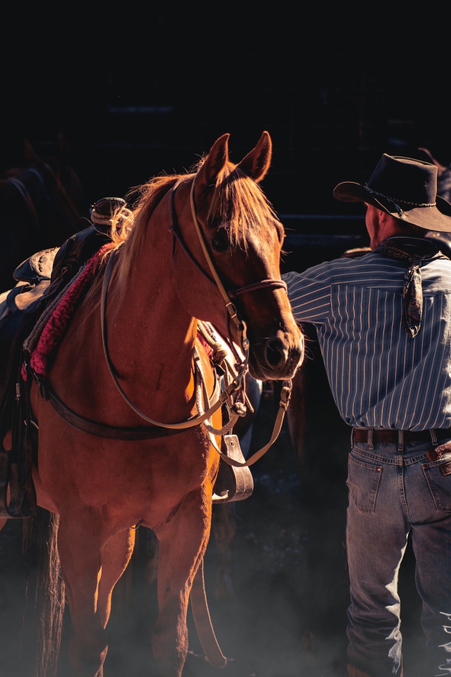 Мужчина ковбой с коричневой лошадью 