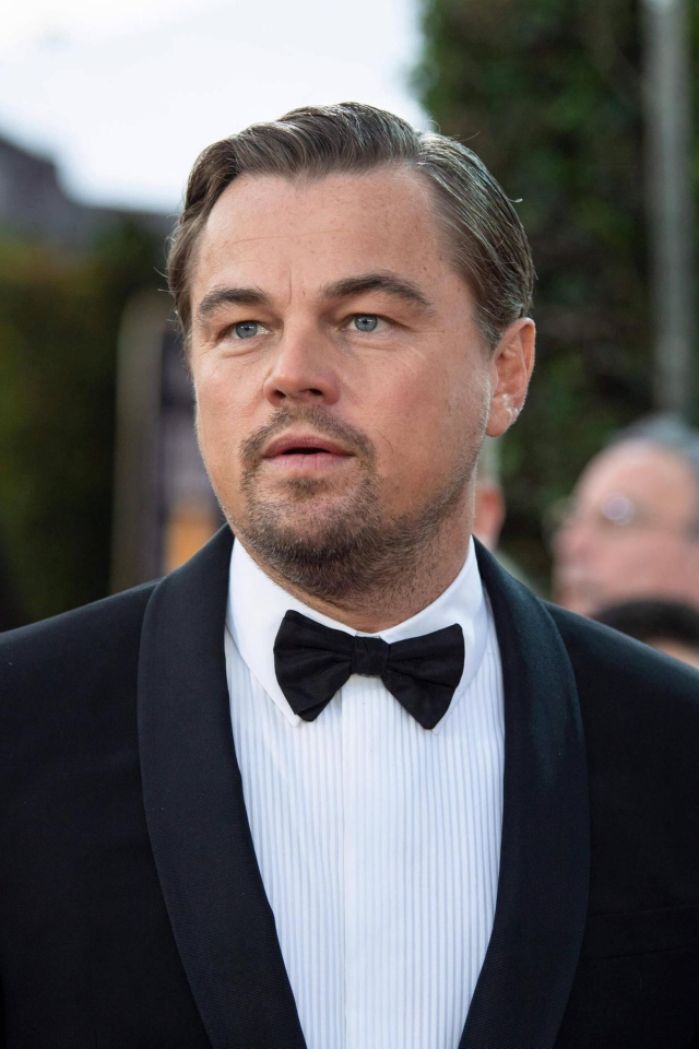 Популярный актер Леонардо Ди Каприо в костюме