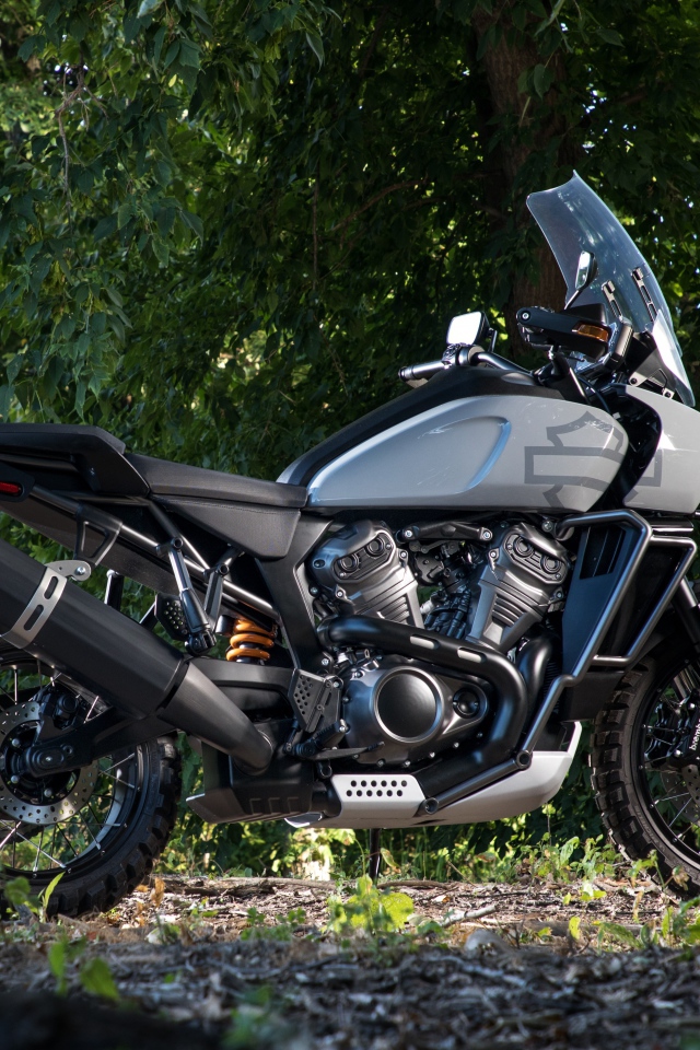 Мотоцикл Harley-Davidson в парке 