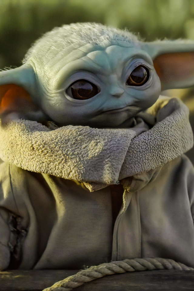 Маленький Мандалорец с большими ушами