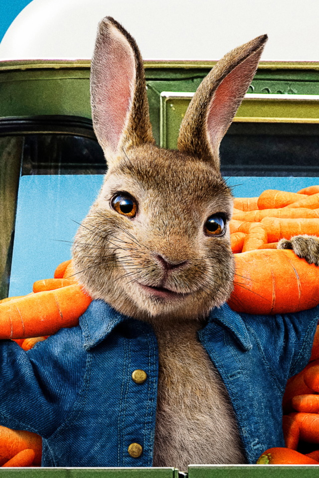 Постер нового фильма Кролик Питер 2, 2020 года