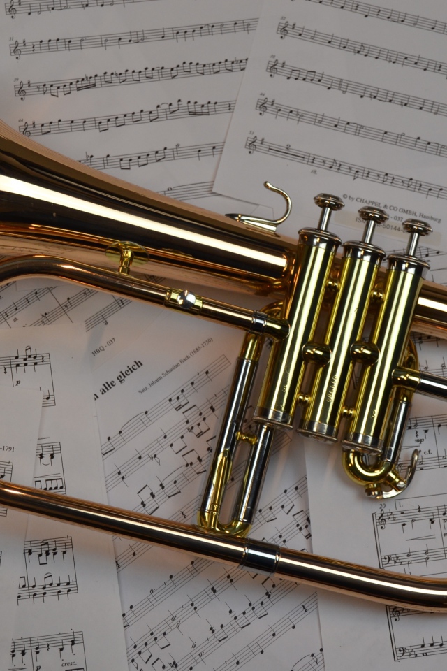Музыкальный инструмент труба лежит на нотах 