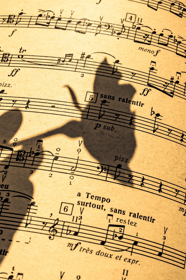 Тень розы на нотной тетради 