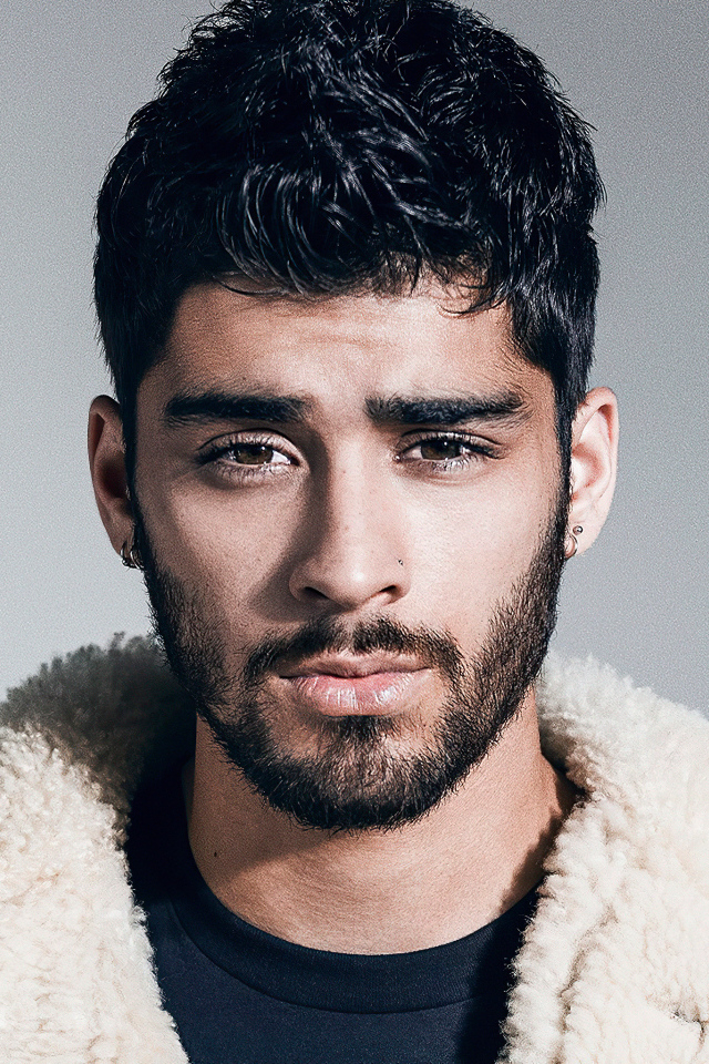 Молодой брюнет, певец Зейн Малик на сером фоне