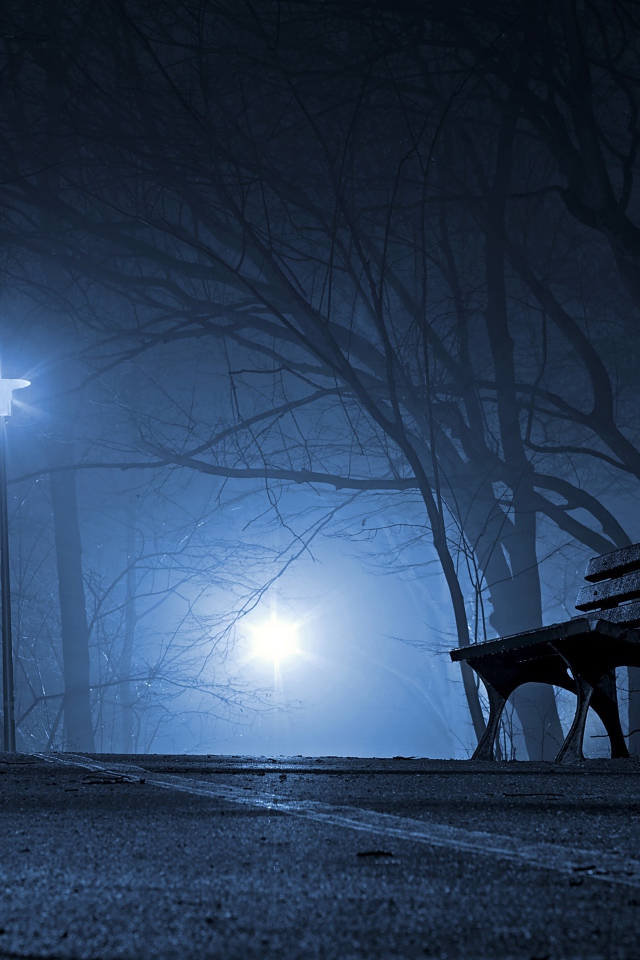 Лавочка в холодном ночном парке 