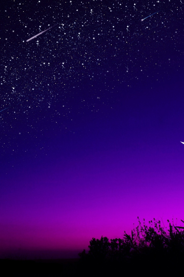 Месяц в звездном ночном небе над лесом