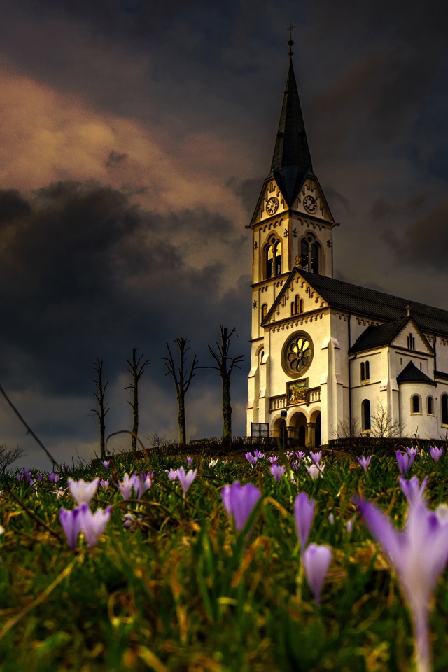 Старая часовня стоит на холме с цветами 