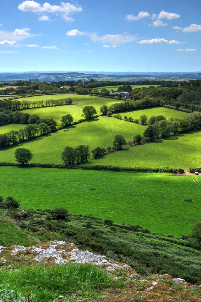 Красивые зеленые луга в лучах солнца под голубым небом