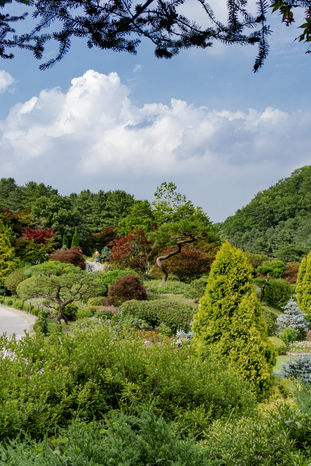Красивый зеленый парк под голубым небом, Корея
