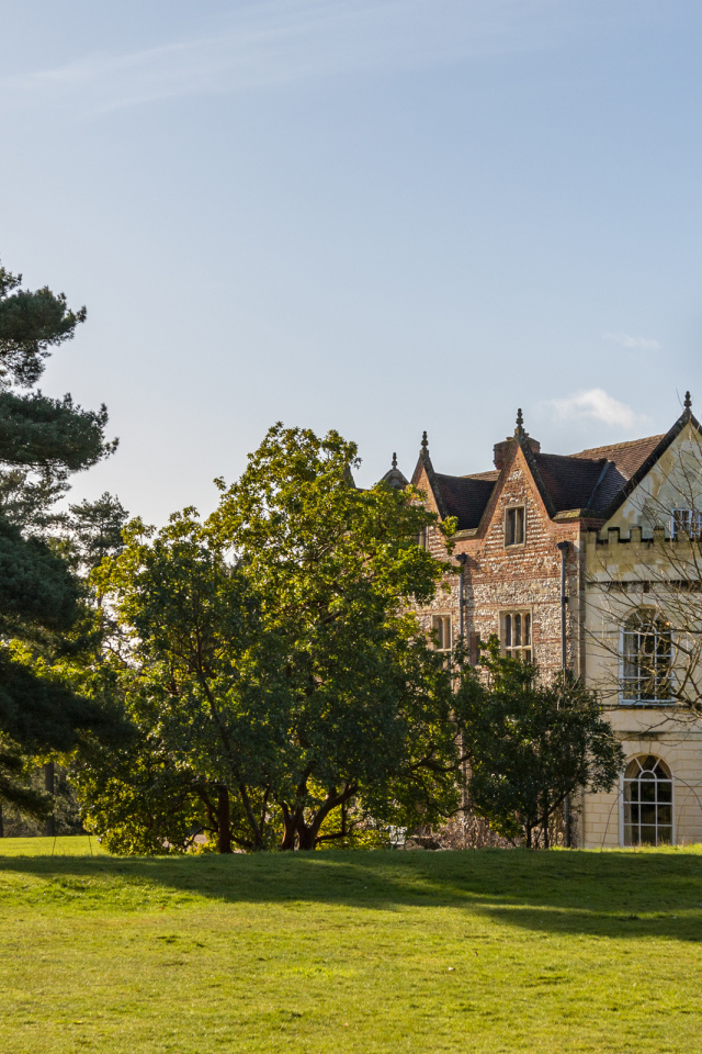 Красивый дом с деревьями и зеленым газоном