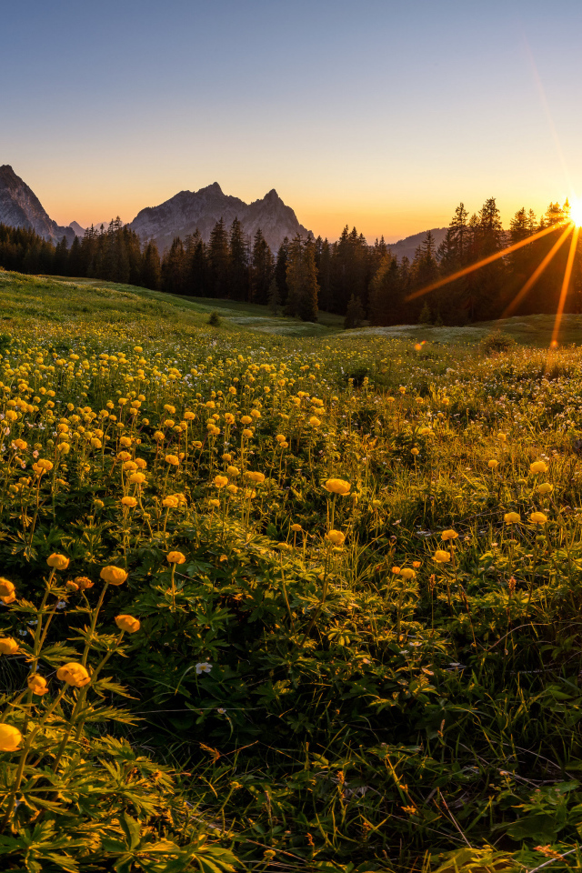 Красивый горный пейзаж солнечным днем