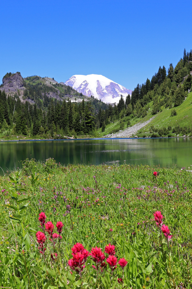 Красивый живописный пейзаж у горного озера 