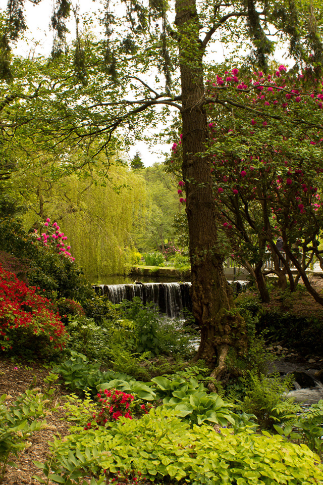 Красивый живописный парк с цветущими кустами