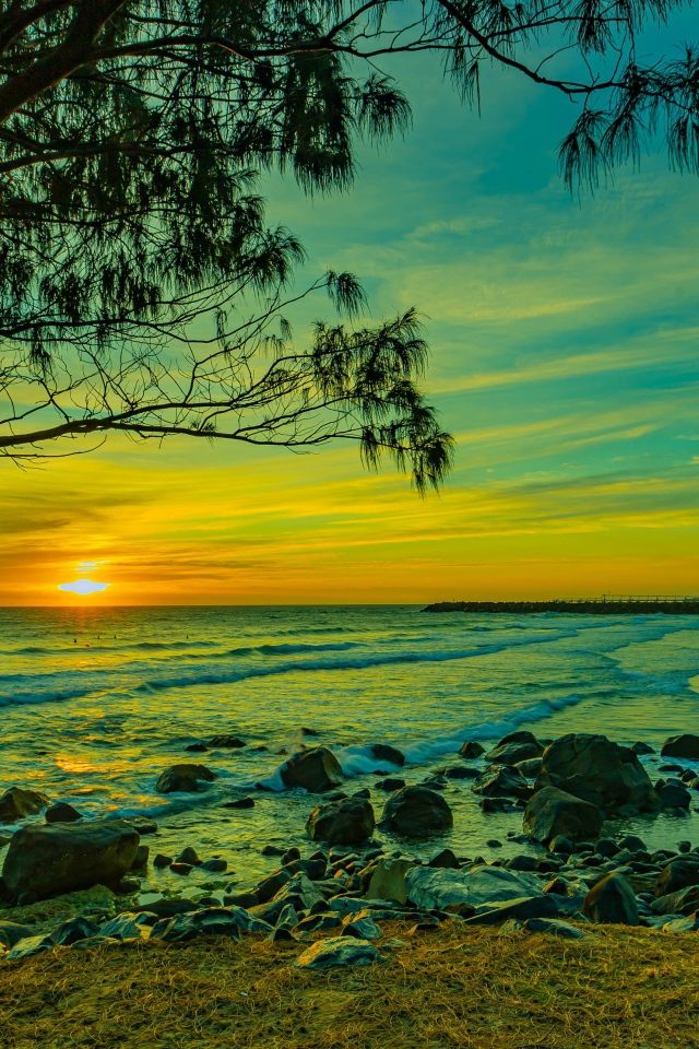 Красивый вид на морской берег с камнями на закате