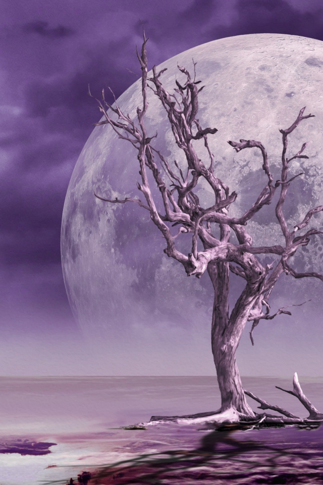 Большая луна в небе у сухого дерева