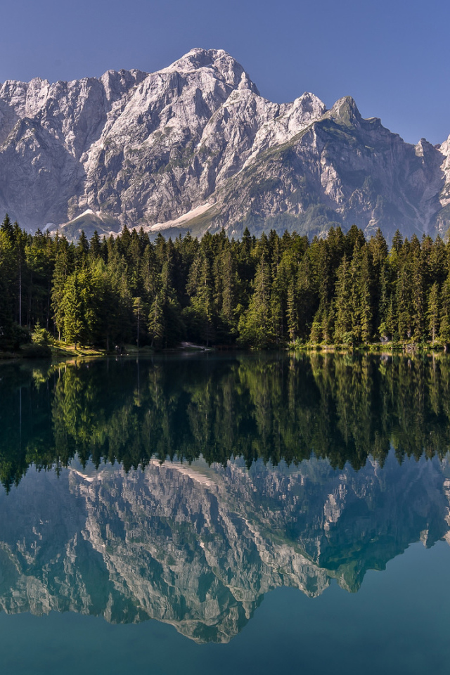 Зеленый хвойный лес и горы отражаются в воде 