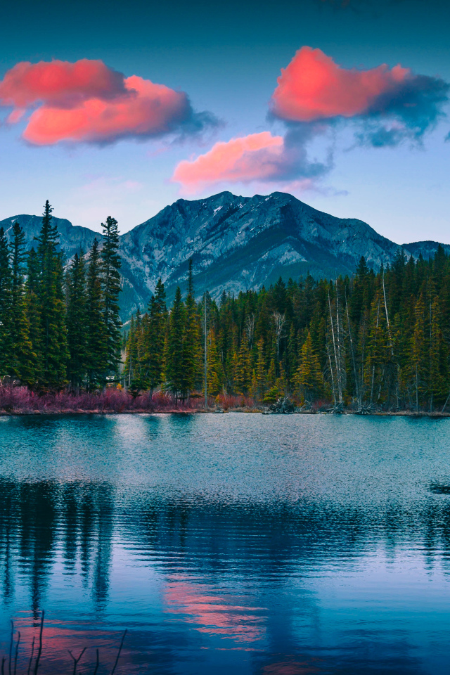 Зеленый лес у озера у подножия гор 