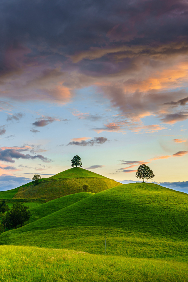 Зеленые холмы с деревьями под небом с грозовыми облаками