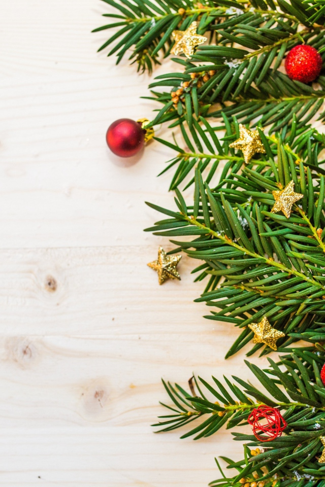 Зеленые ветки ели, шишки и игрушки на белом фоне