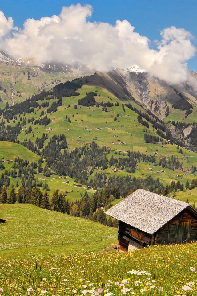 Дом на зеленом холме в горах под белыми облаками