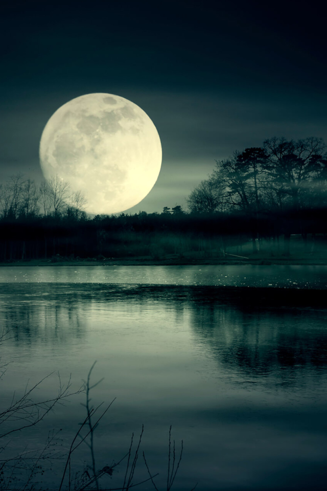 Huge white moon over the lake at night