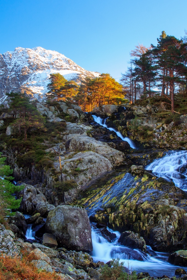 Горный ручей стекает по камням у хвойного леса