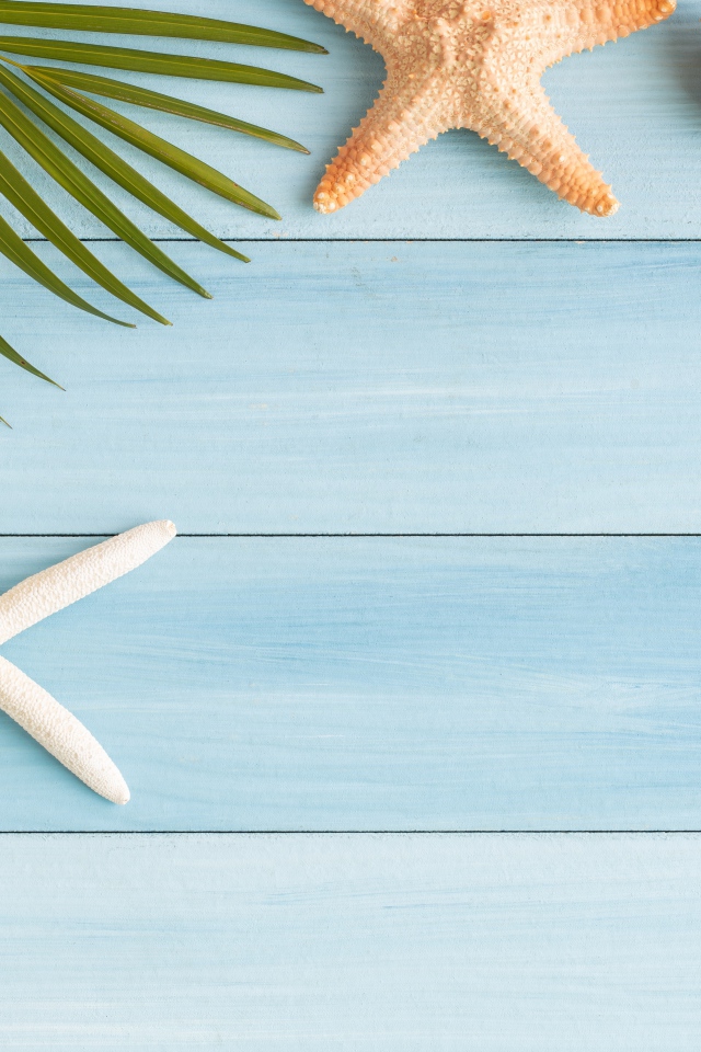 Пальмовый лист на столе с ракушками и морскими звездами 