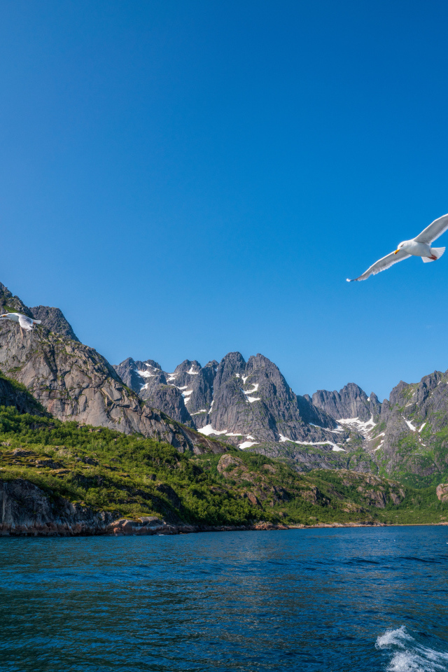 Живописные Лофотенские острова под голубым небом