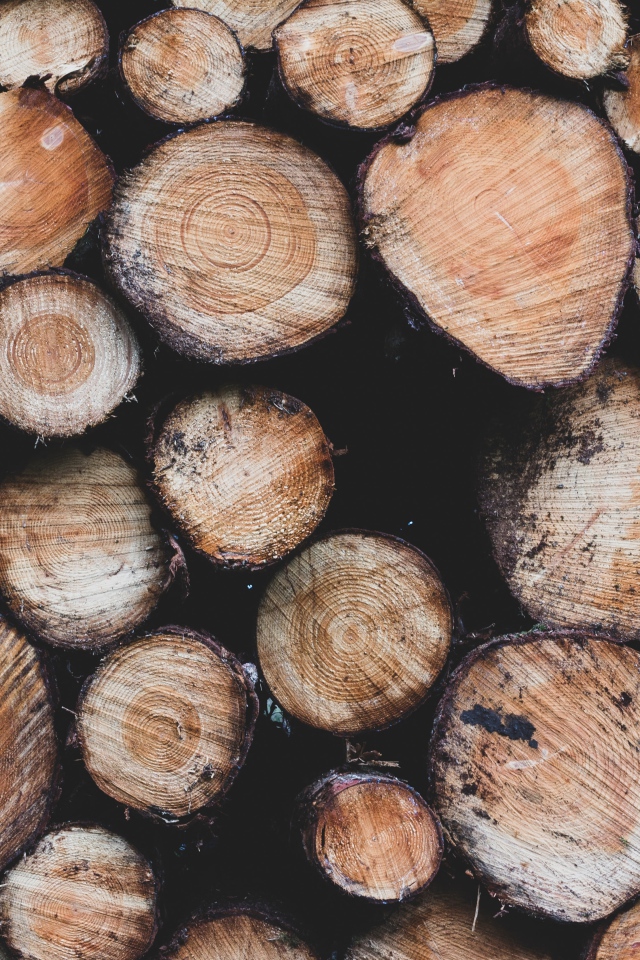 Заготовка дров к суровой зиме