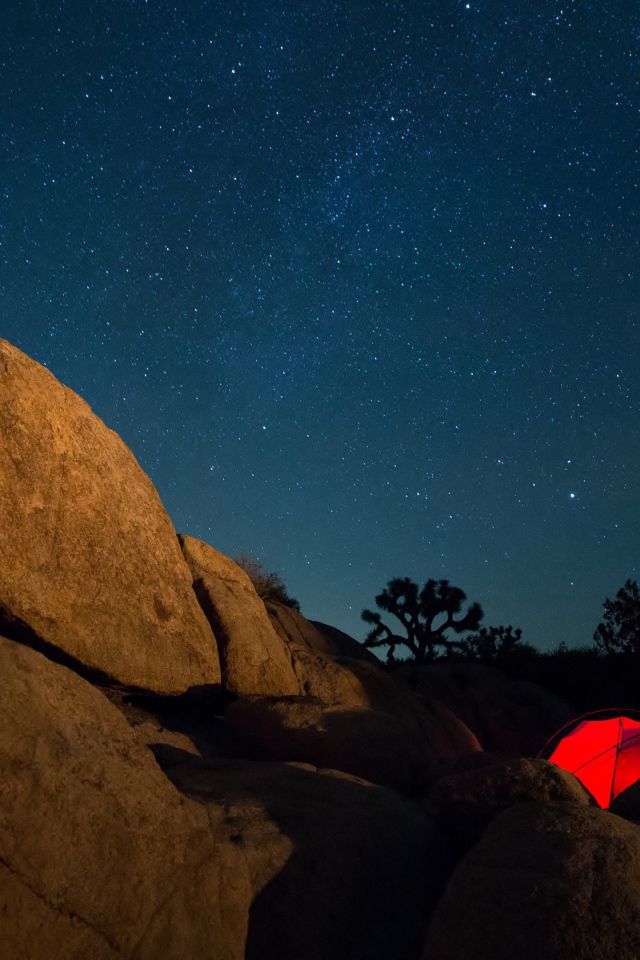 Палатка в горах под звездным небом 