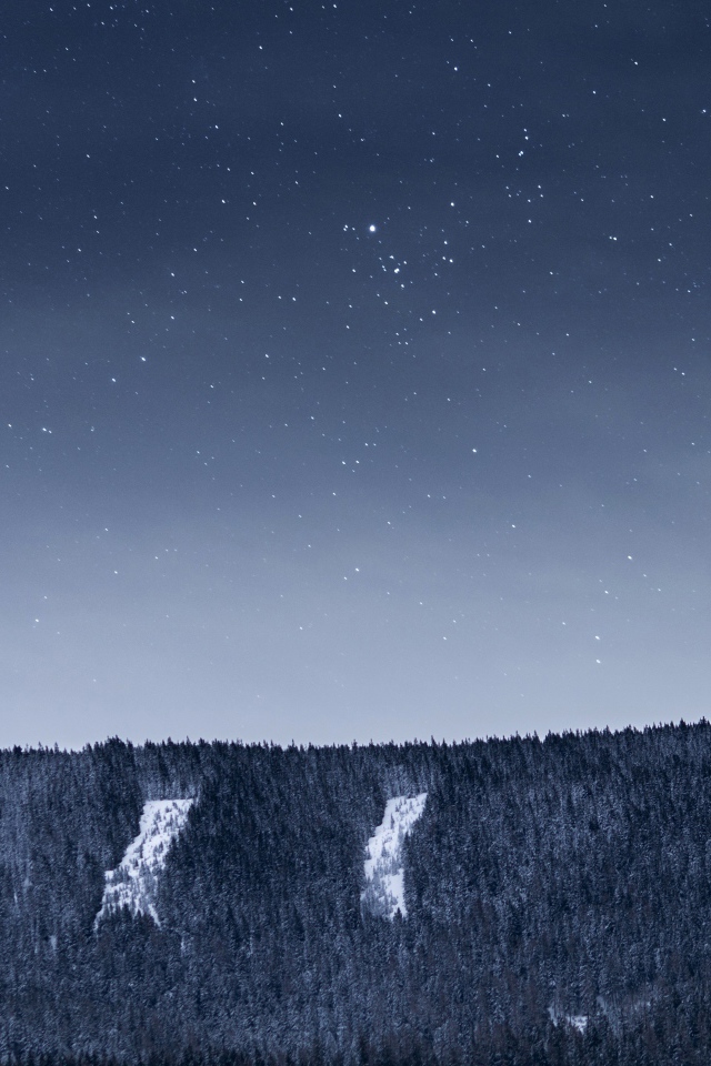 Вид на ночное небо со звездами над лесом