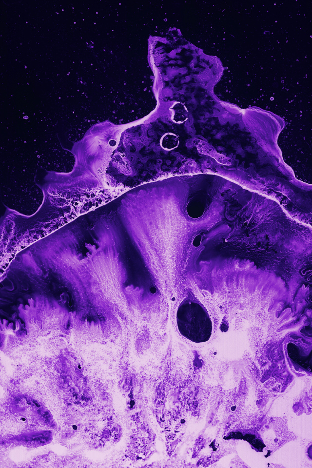 Фиолетовый коралл под микроскопом 