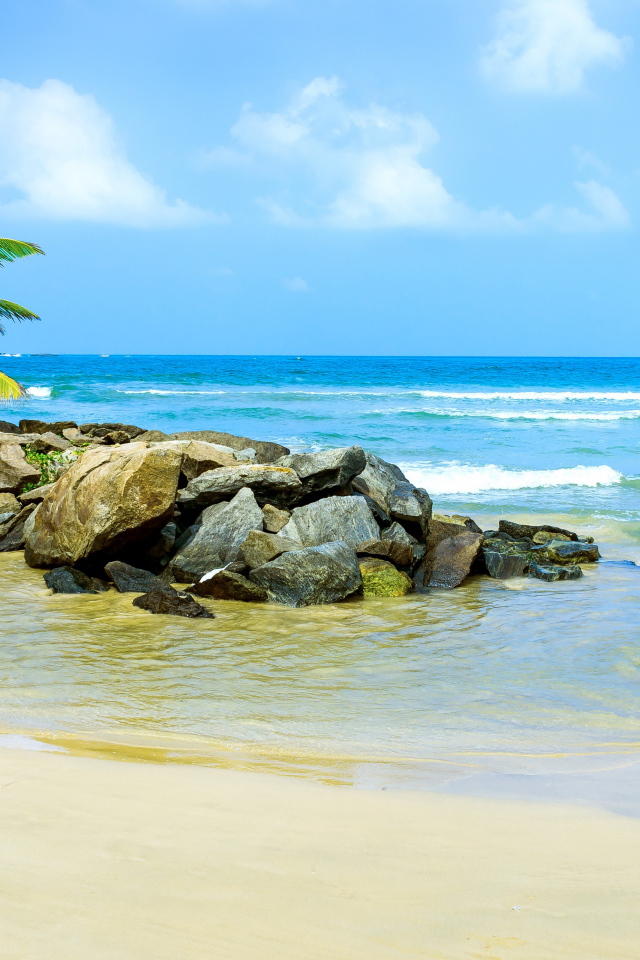 Много камней на берегу тропического пляжа летом