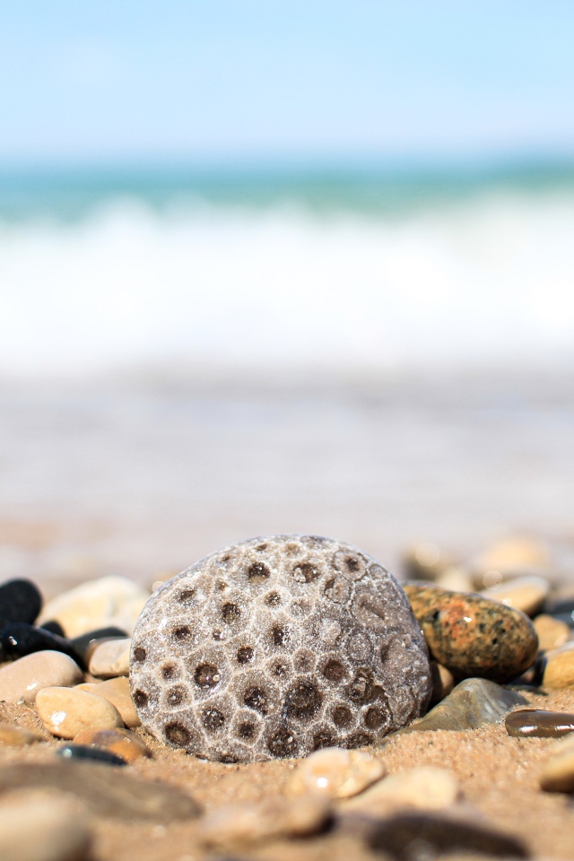 Разные камни лежат на желтом песке у моря 