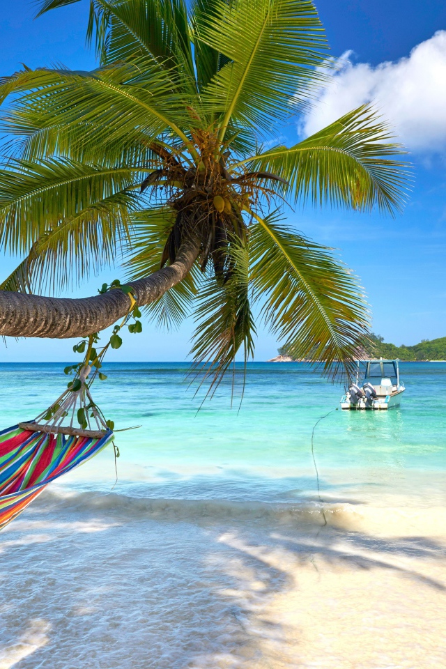 Разноцветный гамак висит на пальме на тропическом пляже 