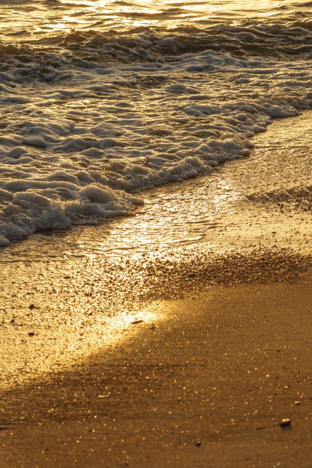 Белая морская пена на желтом мокром песке на пляже