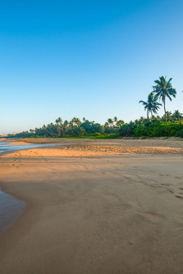 Желтый песок на тропическом пляже на рассвете 