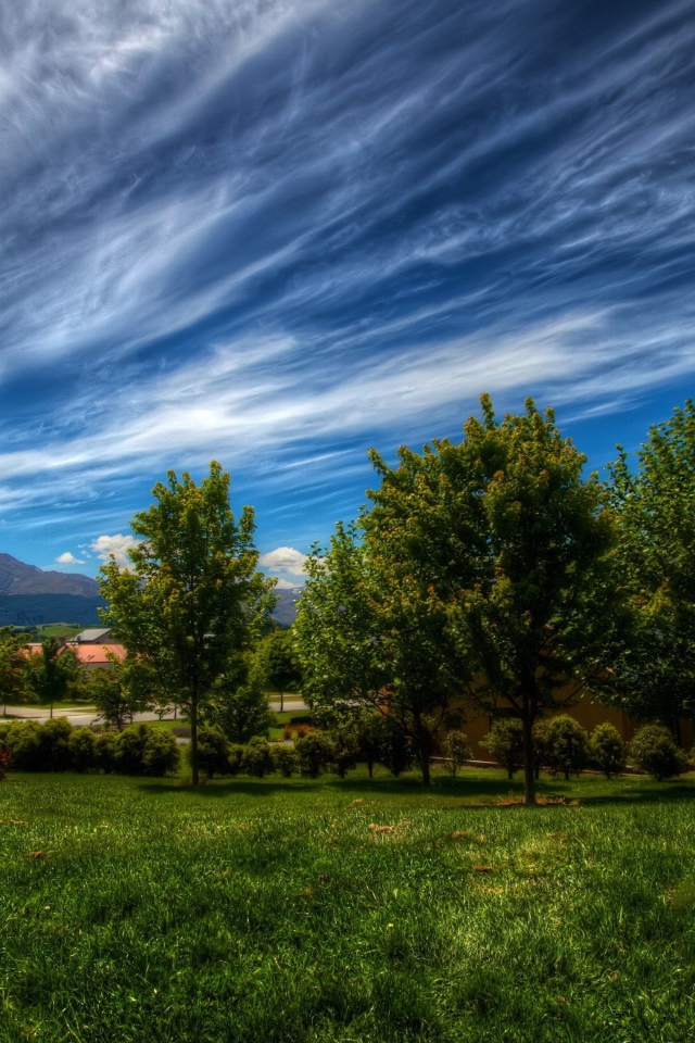 Красивое небо с облаками над деревьями