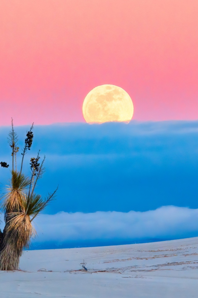 Большая желтая луна в розовом небе с облаками над пустыней 