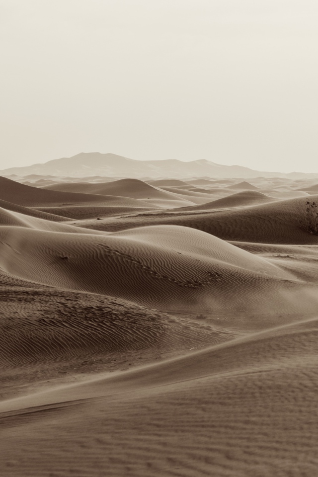 Бескрайние пески пустыни 