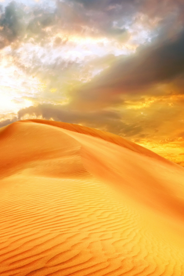 Закат солнце над барханом в пустыне 