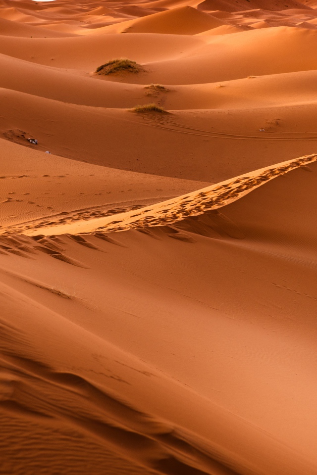 Бескрайние просторы горячей пустыни Сахара 