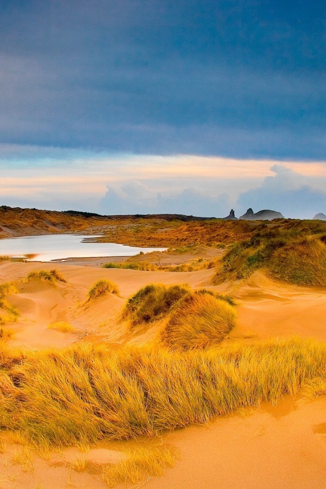 Мокрый песок с травой в пустыне