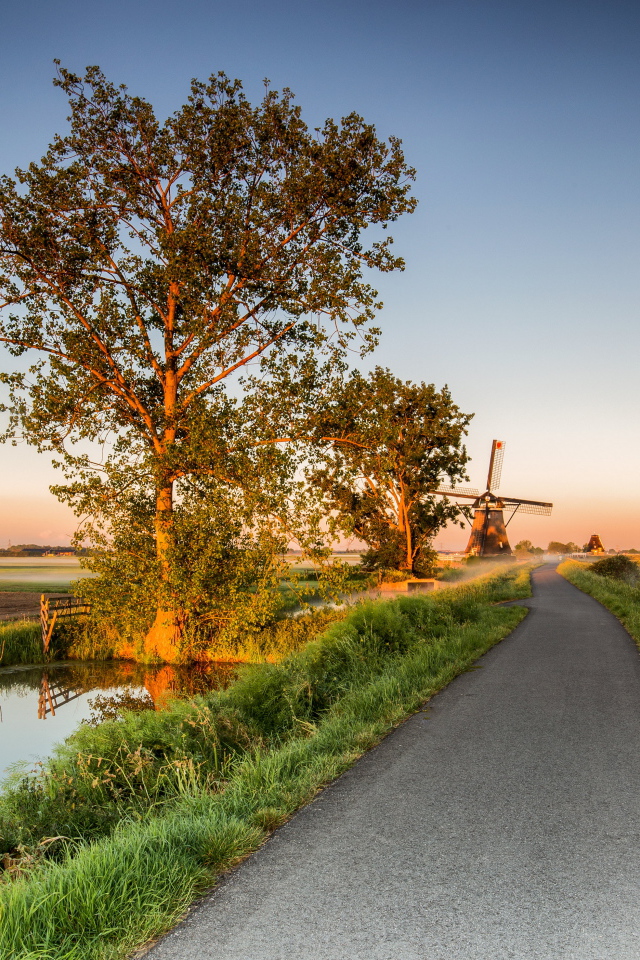 Поле и мельница у дороги на рассвете 