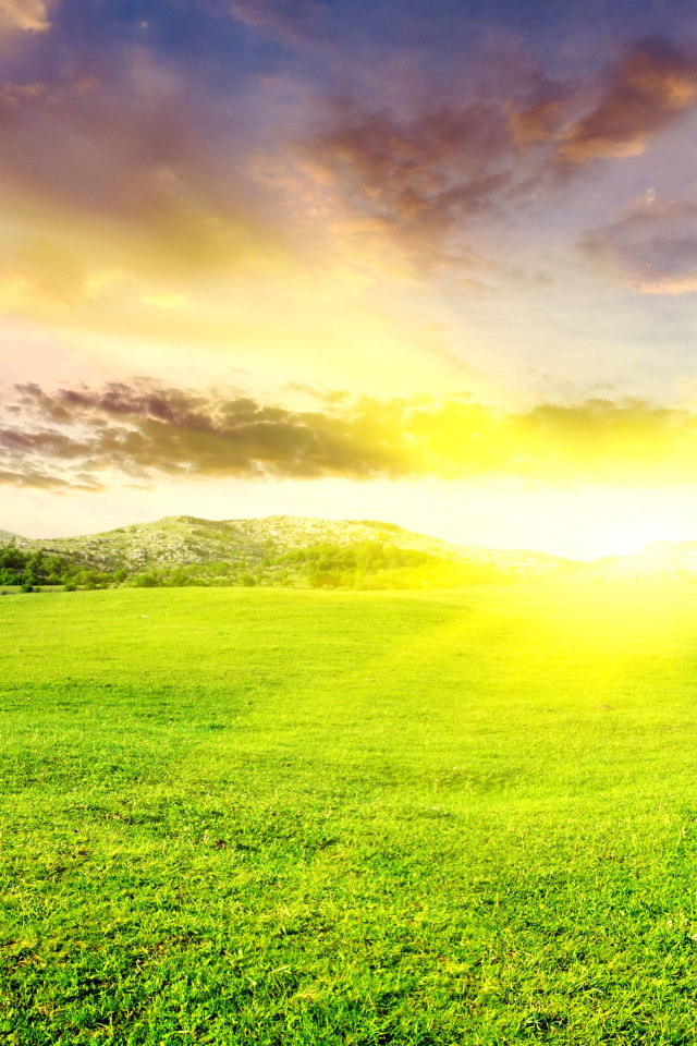 Восход солнца на зелеными полями 