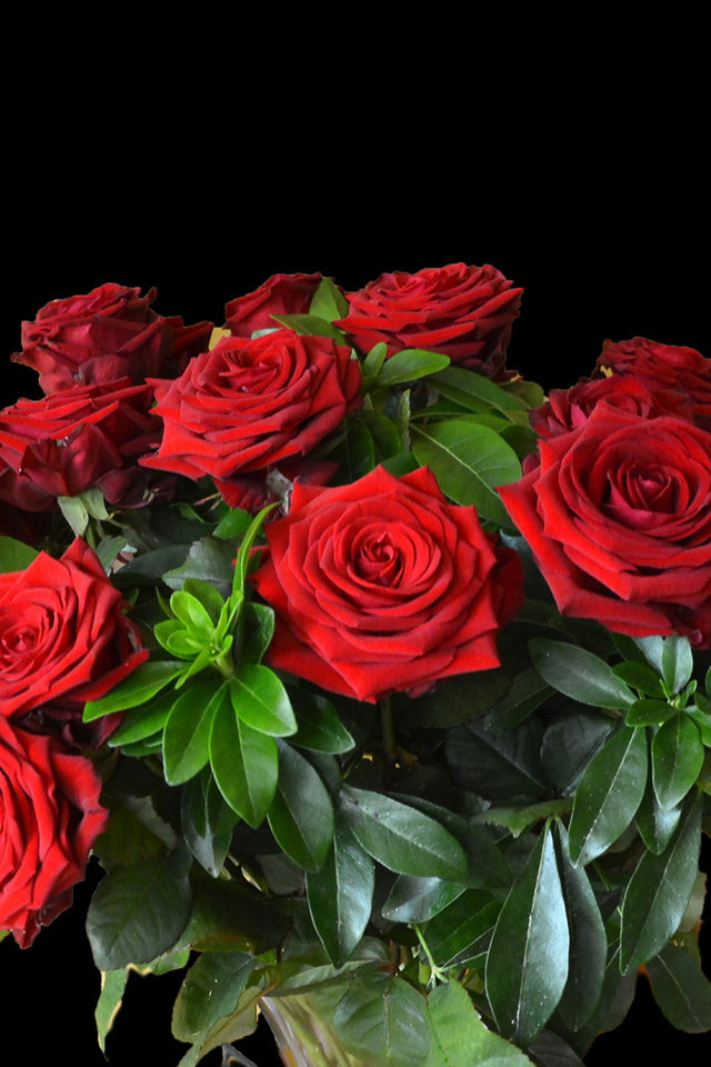 Большой букет красных роз на черном фоне