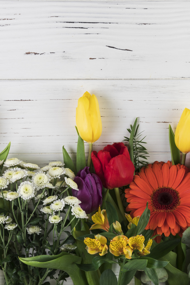 Цветы альстромерии, тюльпанов и георгин на белом фоне 