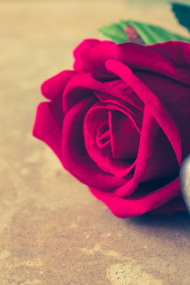 Искусственная роза с кулоном на столе